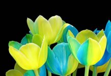 ШЫНАЙЫ ТАБИҒАТЫМЫЗДЫ ТҮСІНГЕН КҮНІ НЕ ӨЗГЕРЕДІ ЕКЕН?