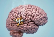 ТЕМЕКІ ШЕГУ МИДЫ КІШІРЕЙТЕДІ – Британ ғалымдары